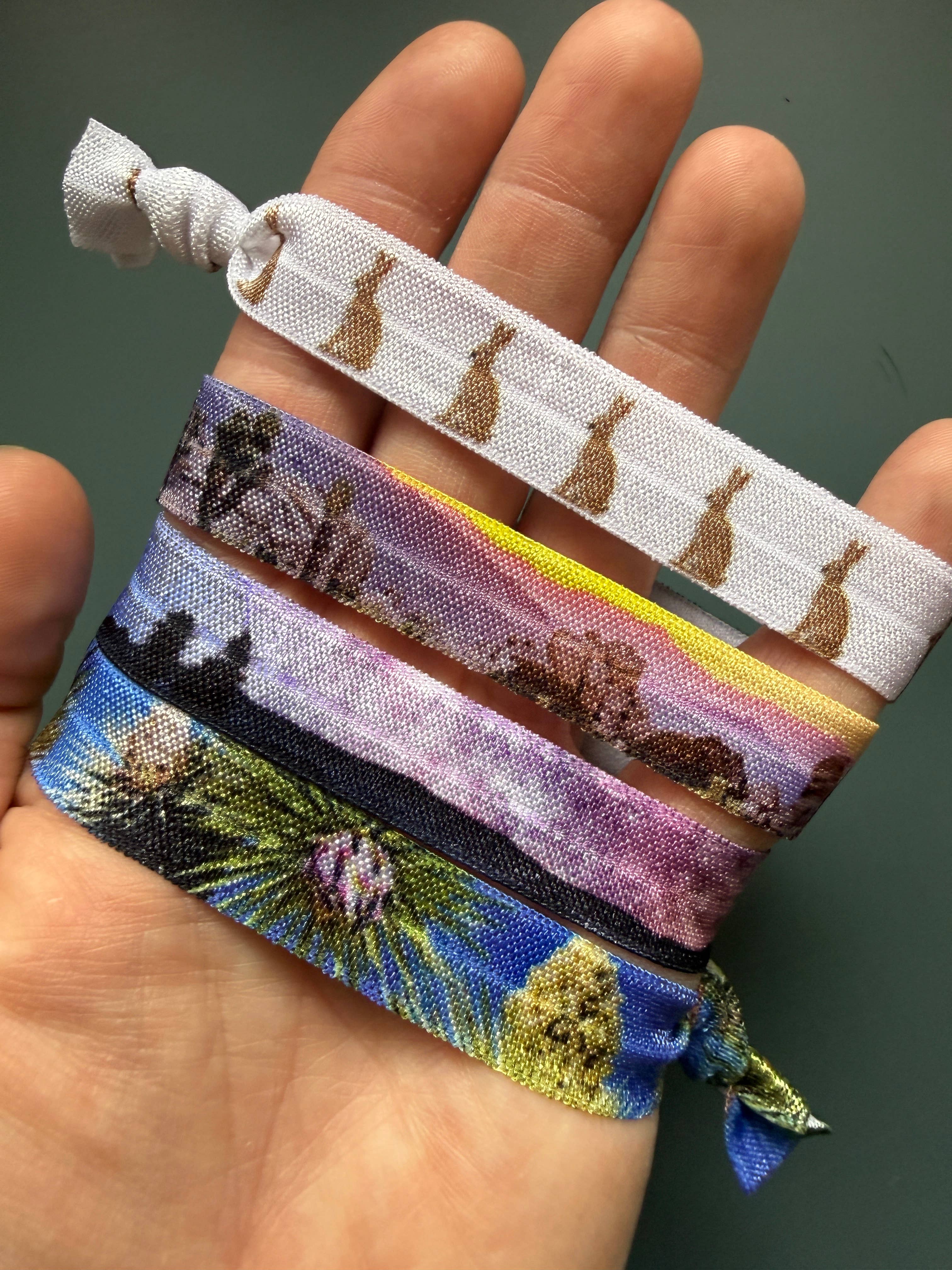 National Parks and Beyond - Wholesale Hair Tie - National Park Inspired Hair Bands2