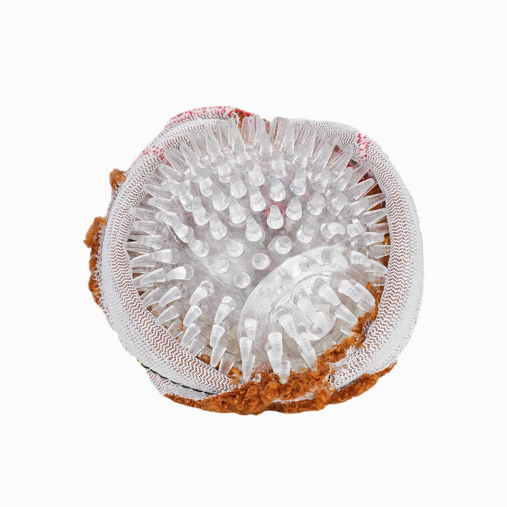 Hugsmart Products Inc - Wholesale Pet Fetch Ball - Dog - HugSmart Pet - Food Party | Spaghetti Meatball - Ball Toy2