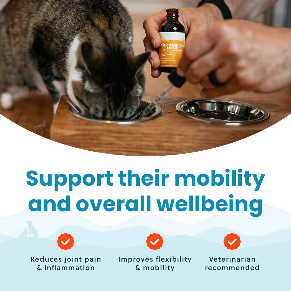 Paramount Pet Health - Wholesale Pet Supplement - Cat - Liquid Glucosamine For Cats8