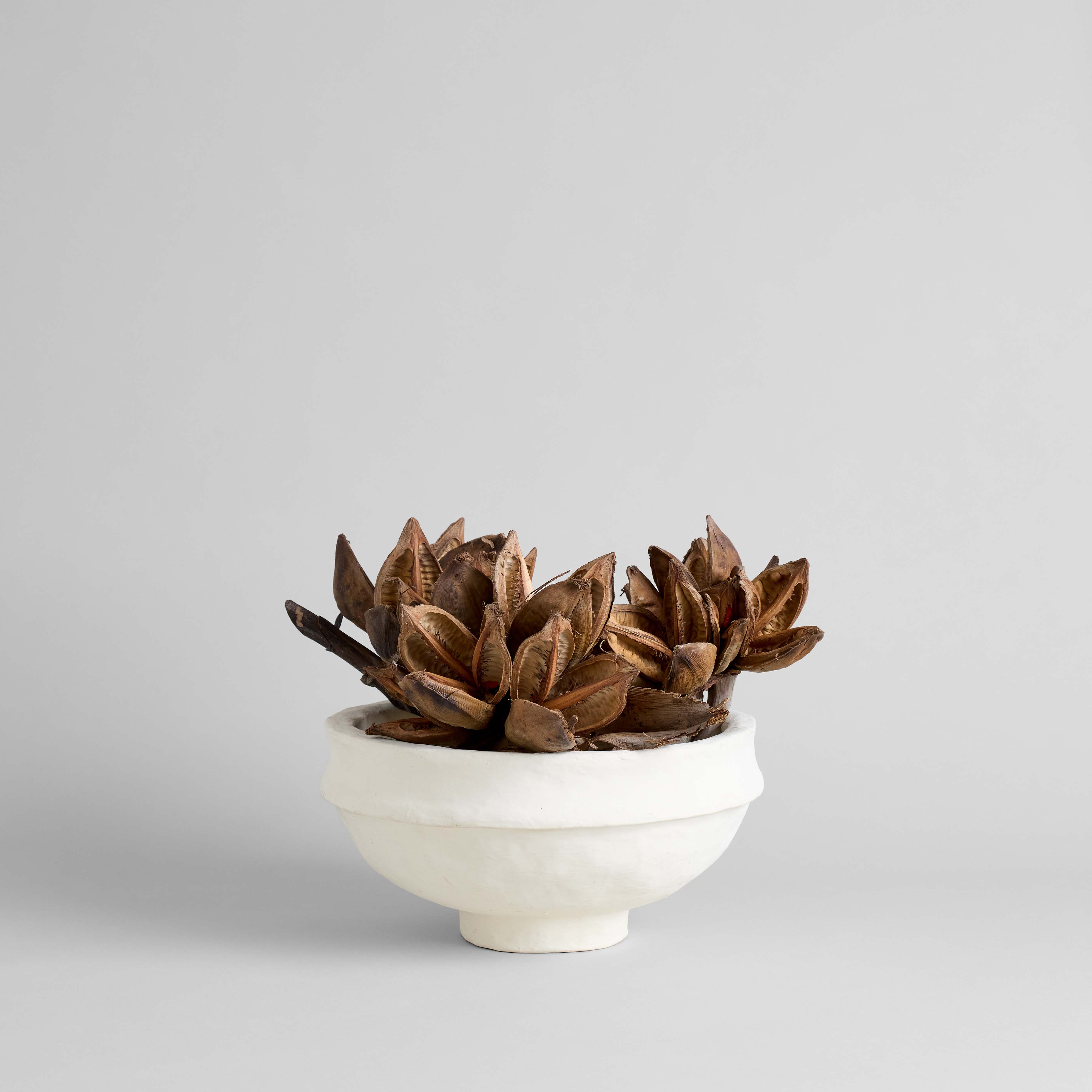 Bloomist - Wholesale Artificial Flowers - Dried Natural Star Pods4