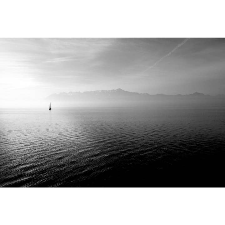 pintura acrilica - Michelle para venta al por mayor de Queence