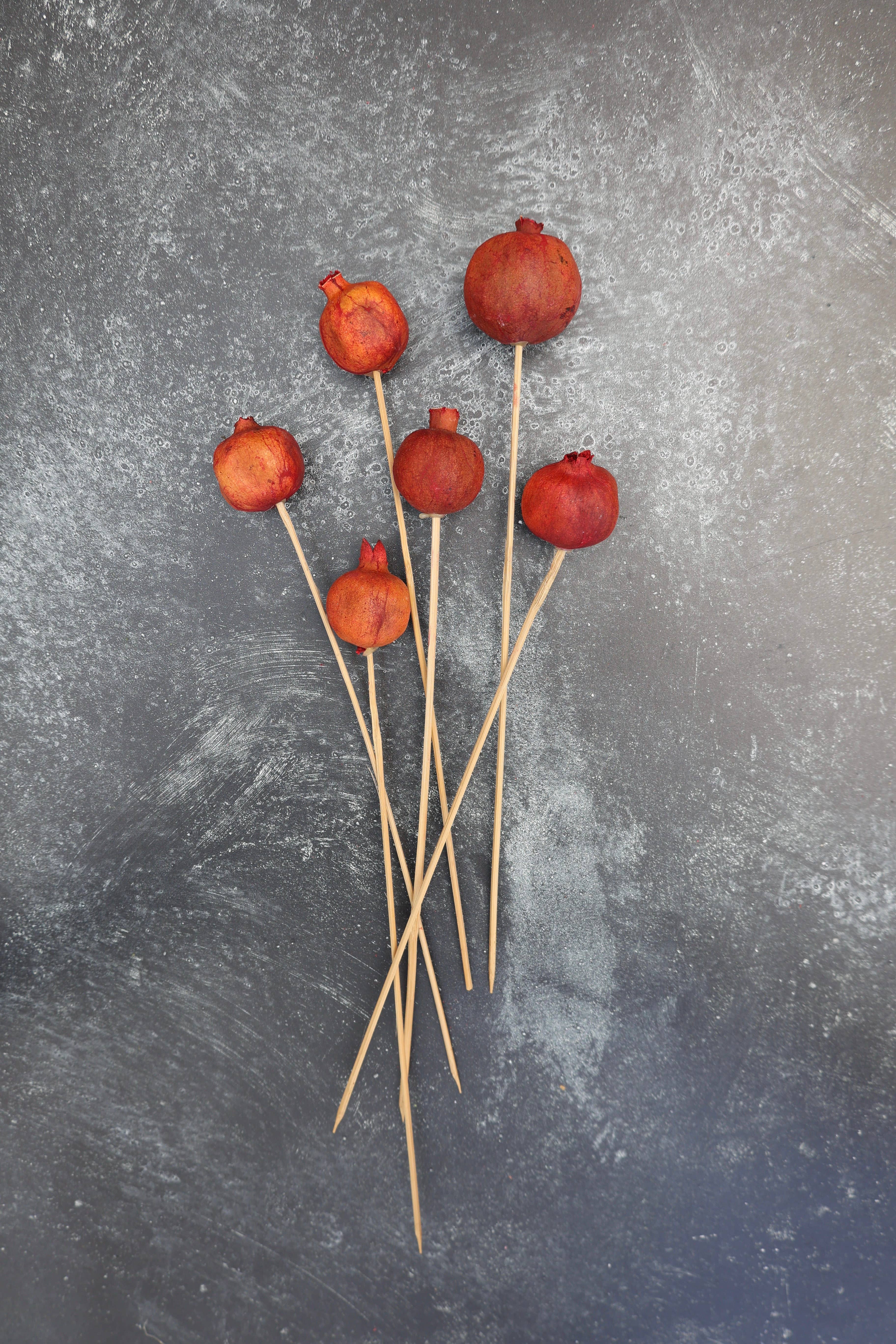 FlowerFantaSee - Wholesale Dried/Pressed Flowers - Dried Pomegranate Stems 1