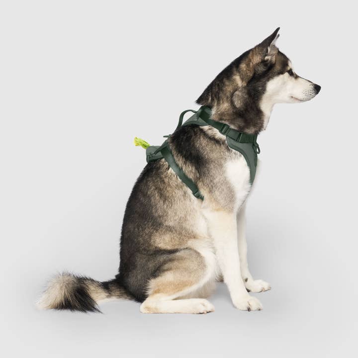 Canada Pooch - Wholesale Pet Harness - Dog - Everything Neoprene Harness- Dog Harness10