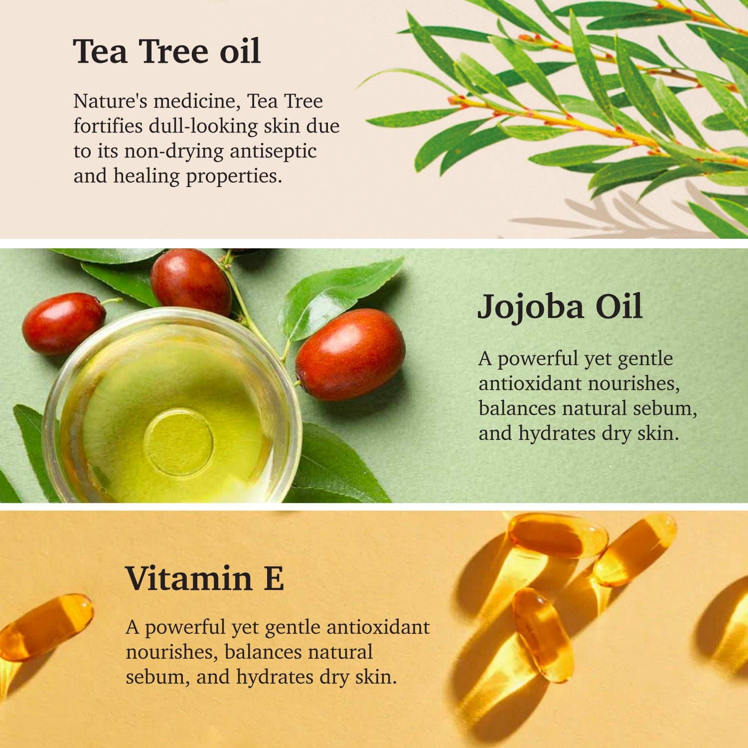 Symphony Beauty - Wholesale Facial Oil - Purifect Tea Tree Healing Facial Oil Serum - 30ml 3