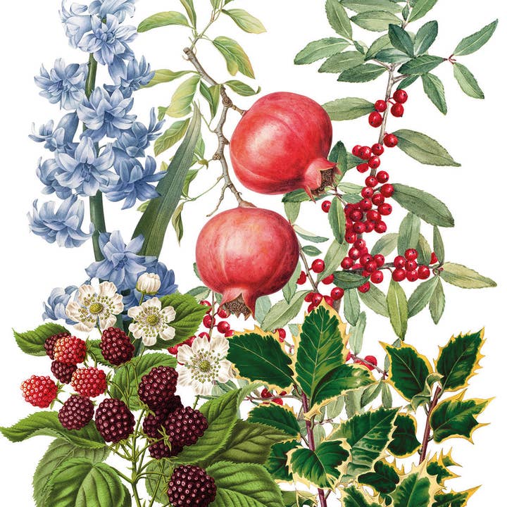 Toalhas de Cozinha «Natalia», 100% Fabricado em Itália por atacado de The Napking