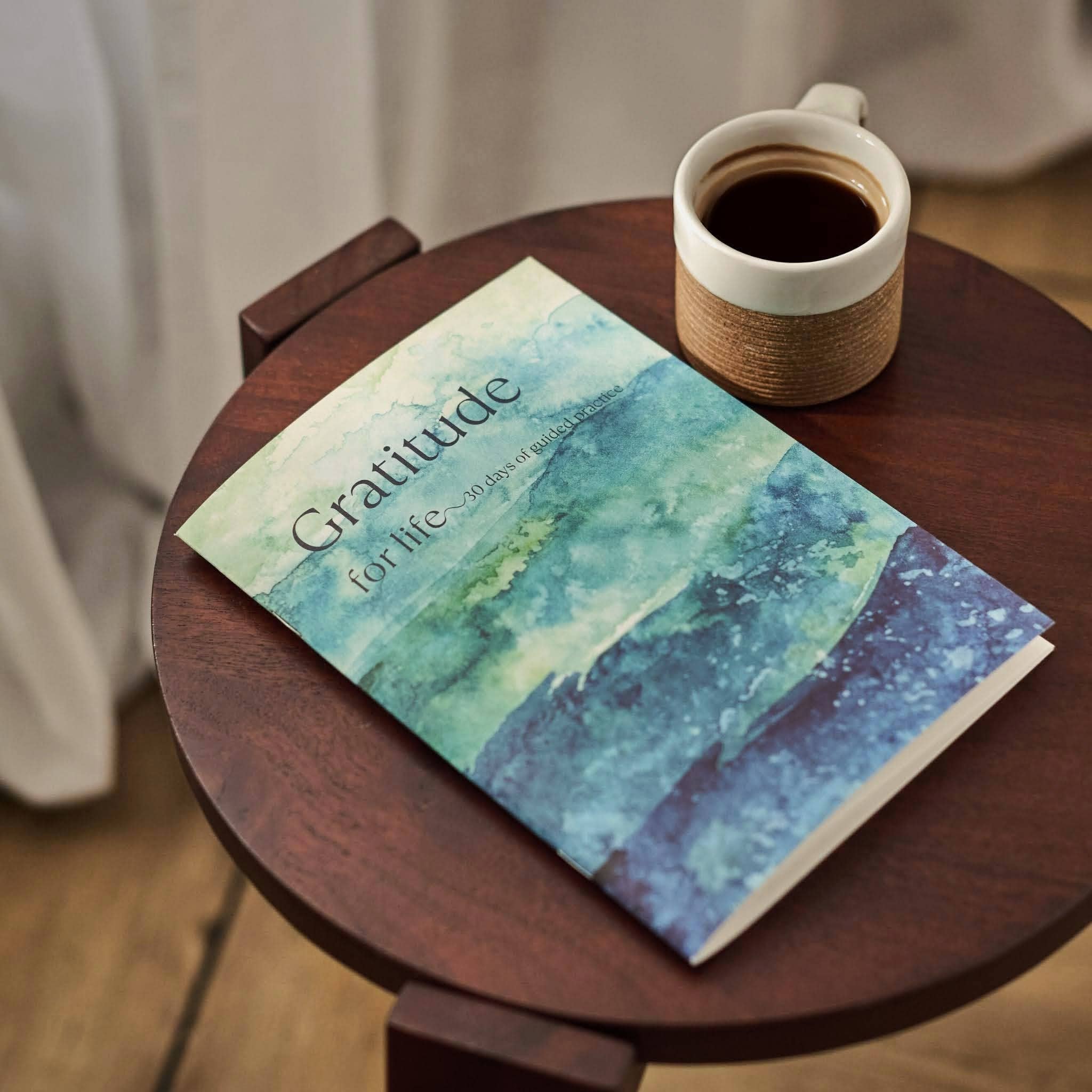 Give Yourself Kindness - Wholesale Journal/Diary - The Gratitude Journal: 30 Days, 30 Different Prompts6