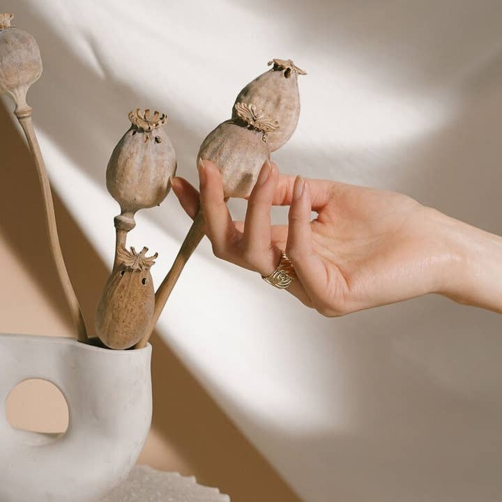 Lindsay Lewis - Wholesale Band/Stacked Ring - Chloe Ring2