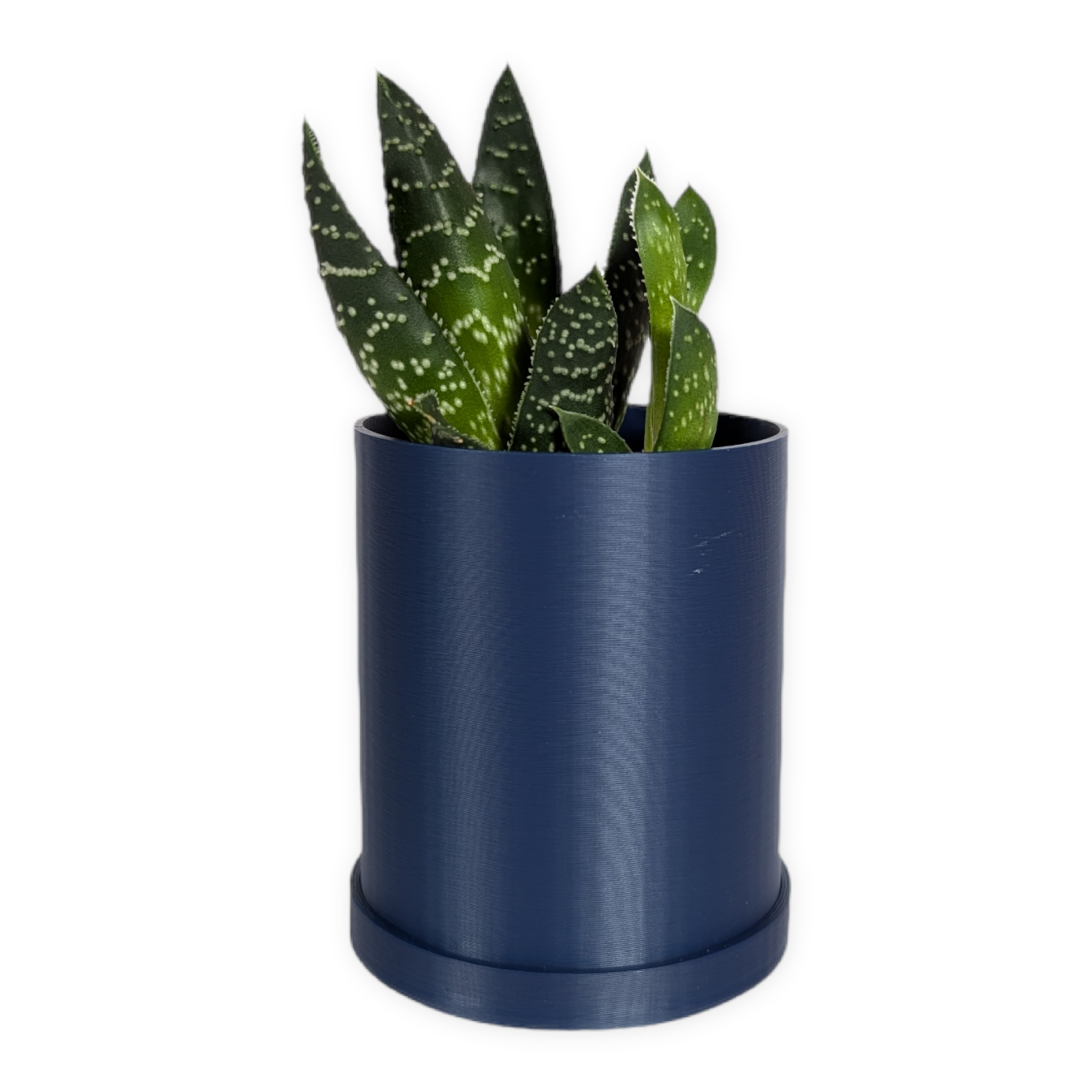 Leafprints.3d - Wholesale Plant Pot - The Pebble – 2 Inch Planter with Drip Tray1