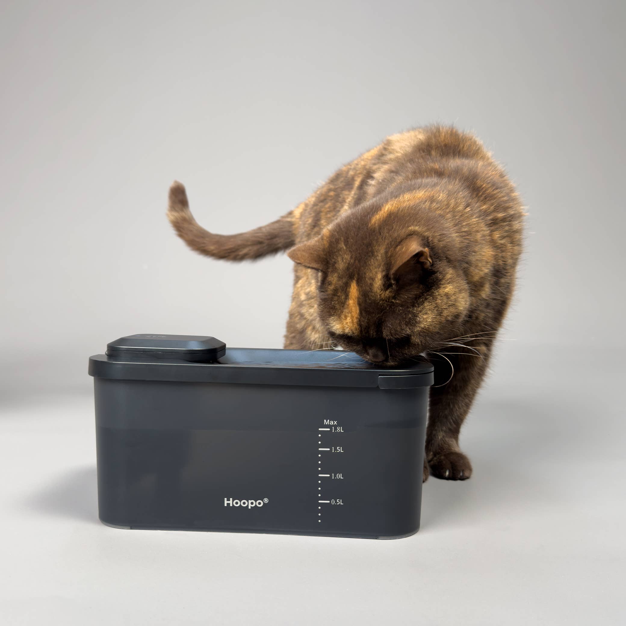 Hoopo – wholesale Pet bowl – Cat/dog – Hydr Waterfountain1