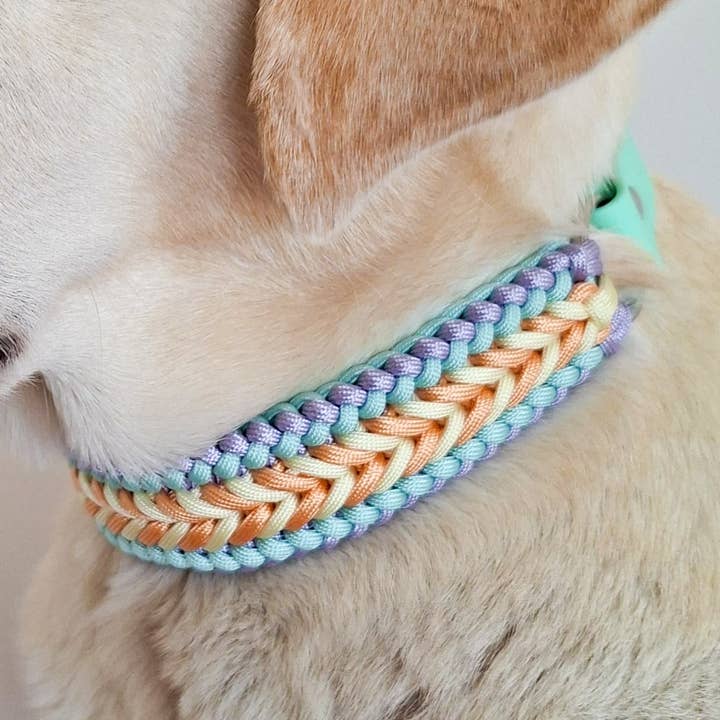 Braided Dog Collar - Biothane/Paracord - Pastel for wholesale by Truffe & Flair
