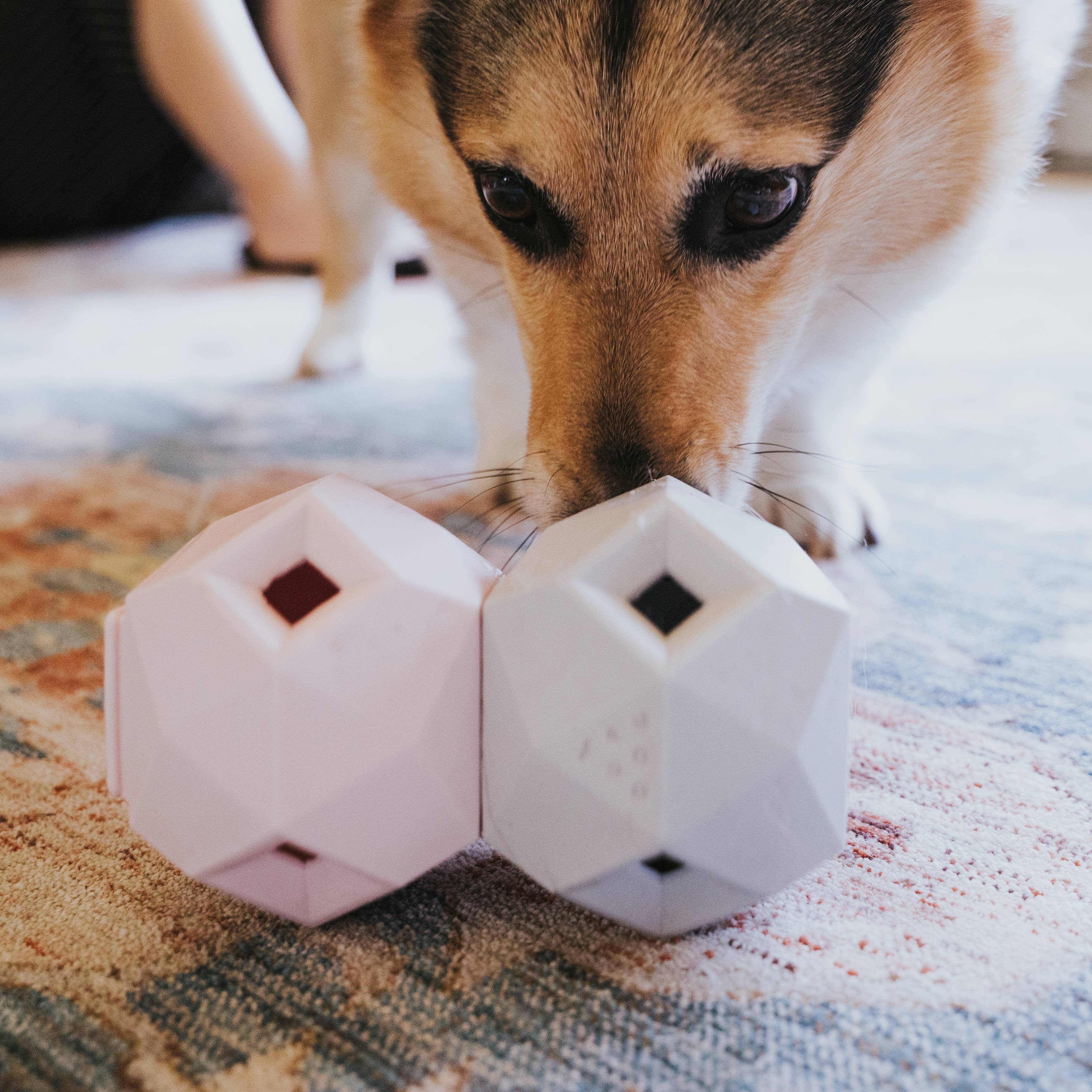 Up Dog Shop - Wholesale Speeltje - Hond - Modern interactief hondenpuzzelspeelgoed - The Odin (6 stuks/doos)11