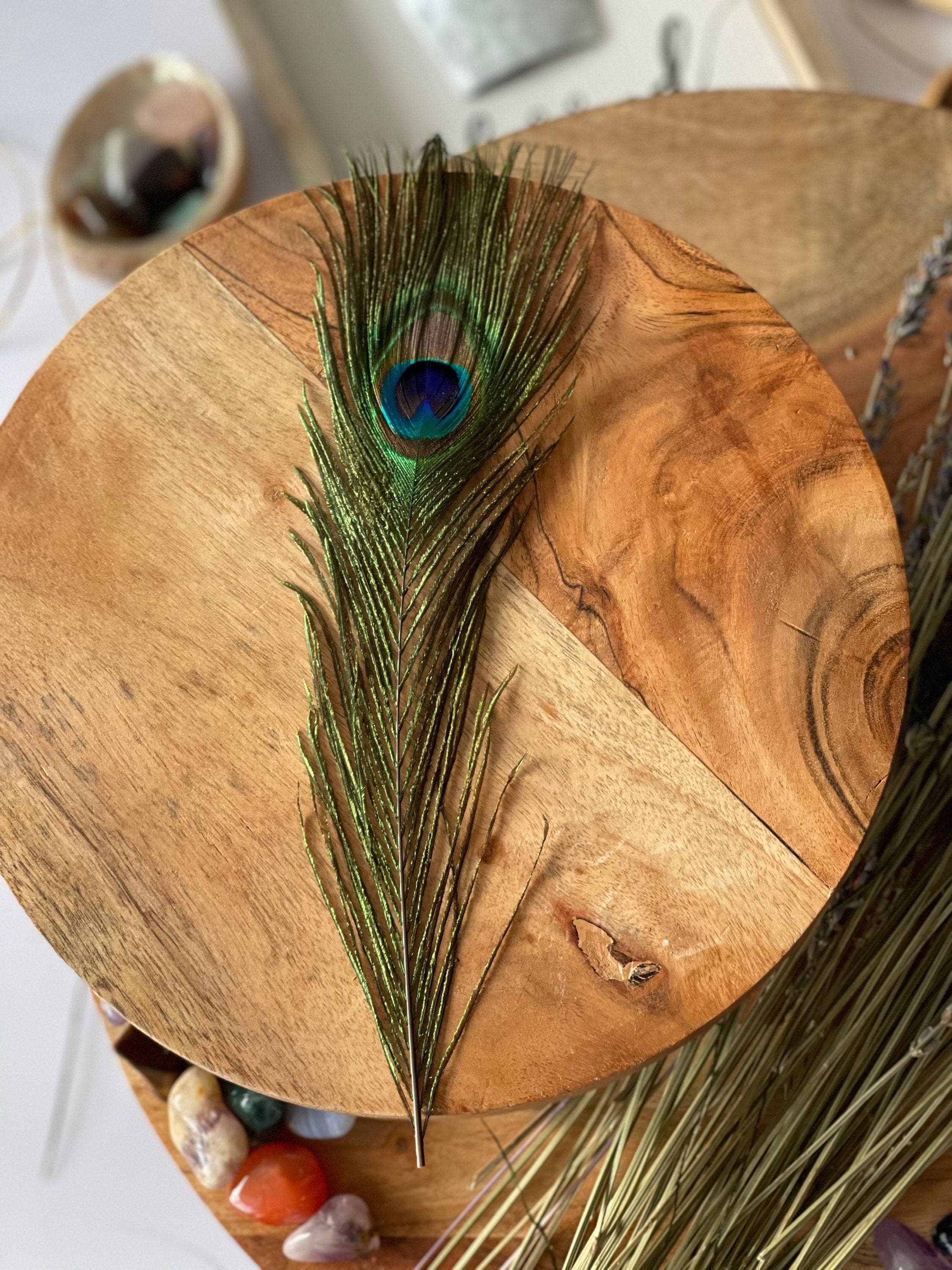 CaNatureLover - Wholesale Veren - Natuurlijke pauwenveren uit de VS, 10" - 12" Big Eye Natural Peac7