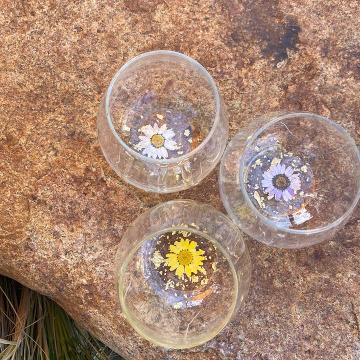 SeaLion Resin – wholesale Vinglas – Daisy Flower Stamless Vinglas ~ Torkade blommor