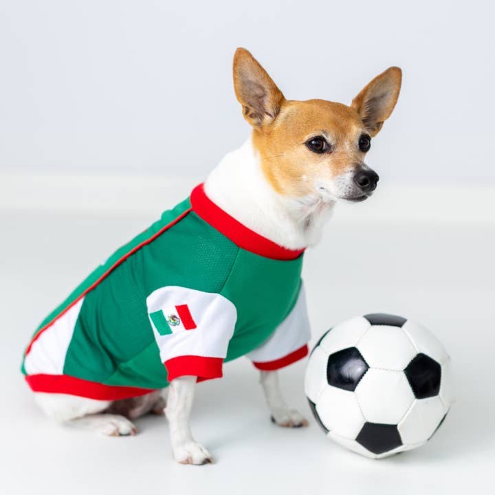 Parisian Pet® - Wholesale Pet Jersey - Dog - Team Mexico Jersey Dog T-Shirt – Trendy Football Pet Jersey
