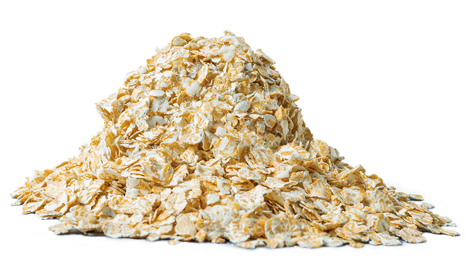REGIONIQUE – wholesale Oats – TREND-SETTING organic whole oat flakes, 450 g1