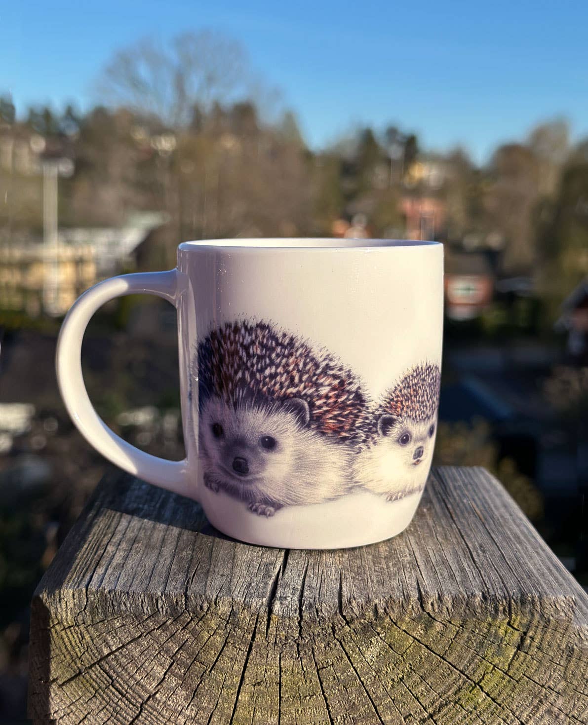 Charlotte Nicolin - Vendita all'ingrosso Tazza - Tazza da caffè Henry's Family con motivo famiglia di ricci2