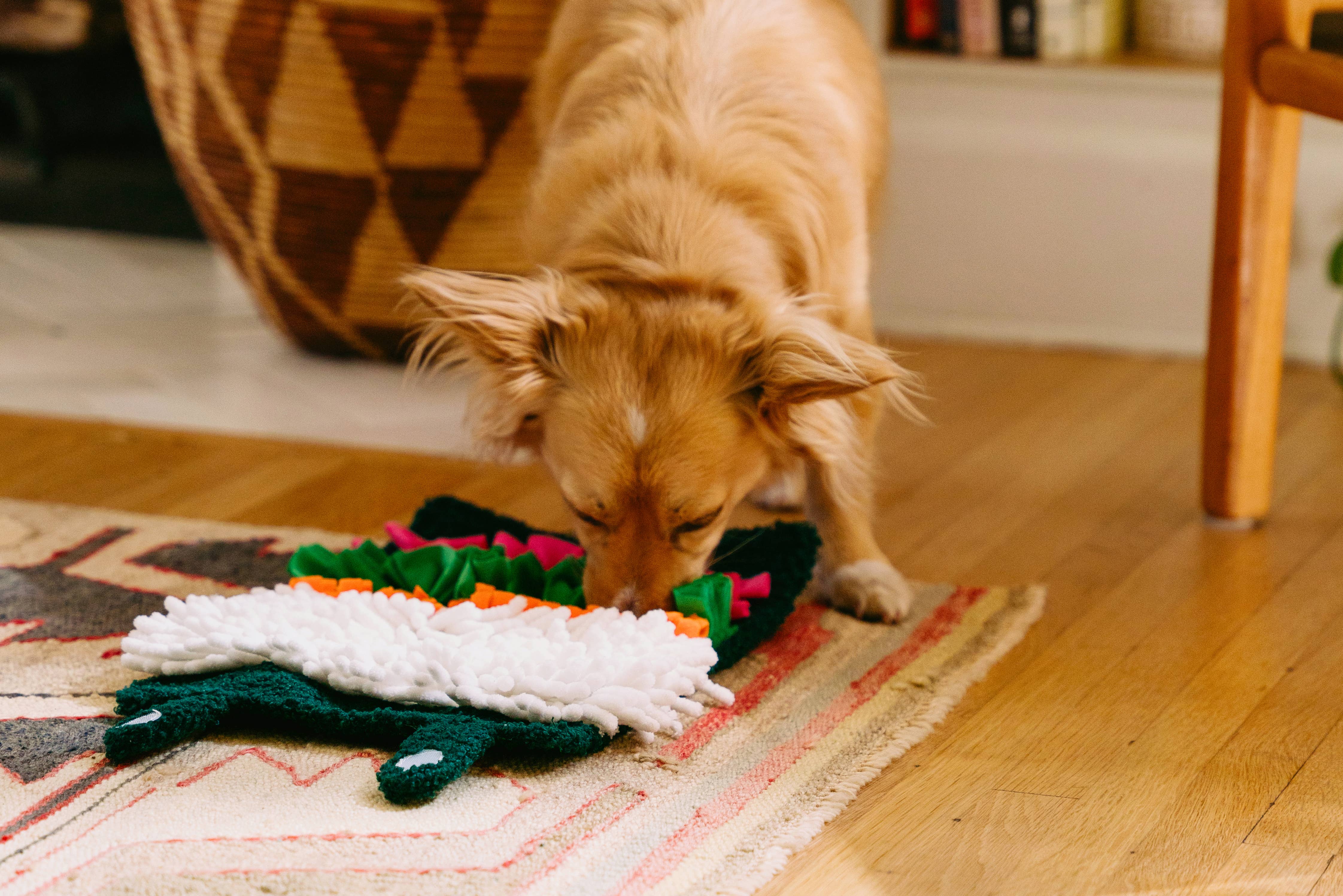 ZippyPaws - Wholesale Pet Toy - Dog - Snufflerz Roll - Sushi - Interactive Dog Toy6