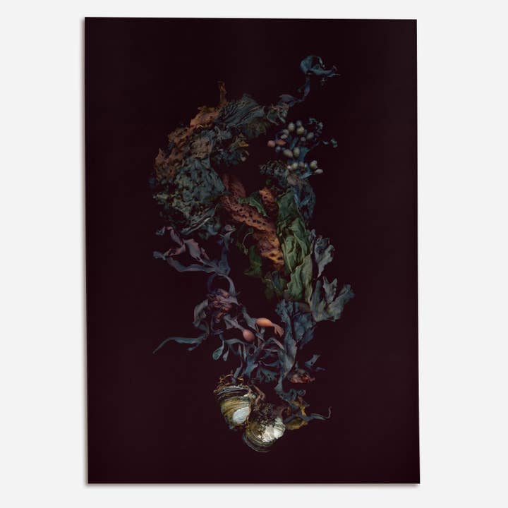 Forêt d’Algues No.1 – Les Jumelles de l’Anse for wholesale by Raoul & Simone