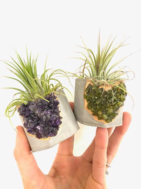 Plant One On Me Designs - Vendita all'ingrosso Vasi per piante - Vaso per cemento in cristallo di ametista, con impianto ad aria4