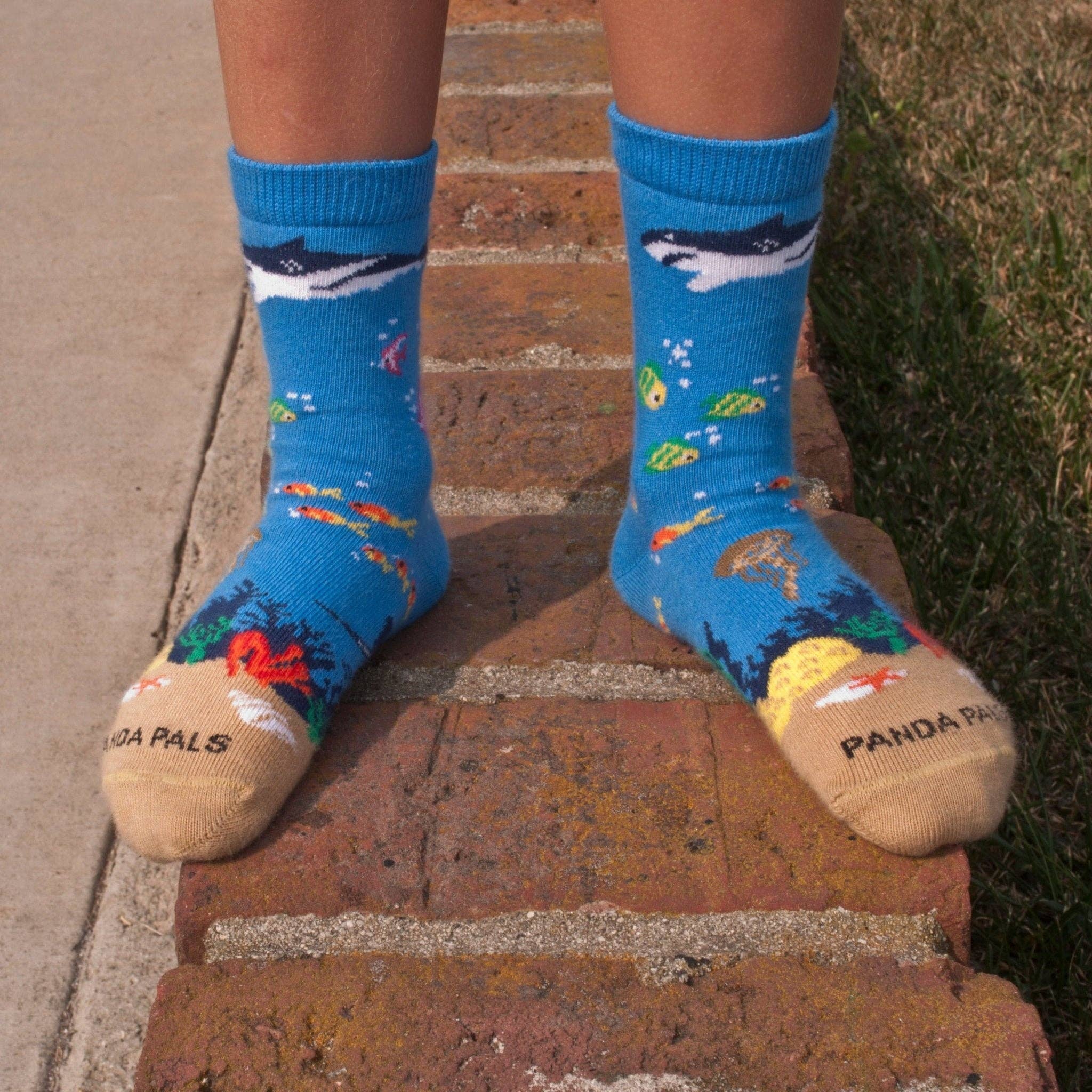 Sock Panda - Wholesale Socks - Kids - Shark in the Ocean Socks (Ages 3-7)4