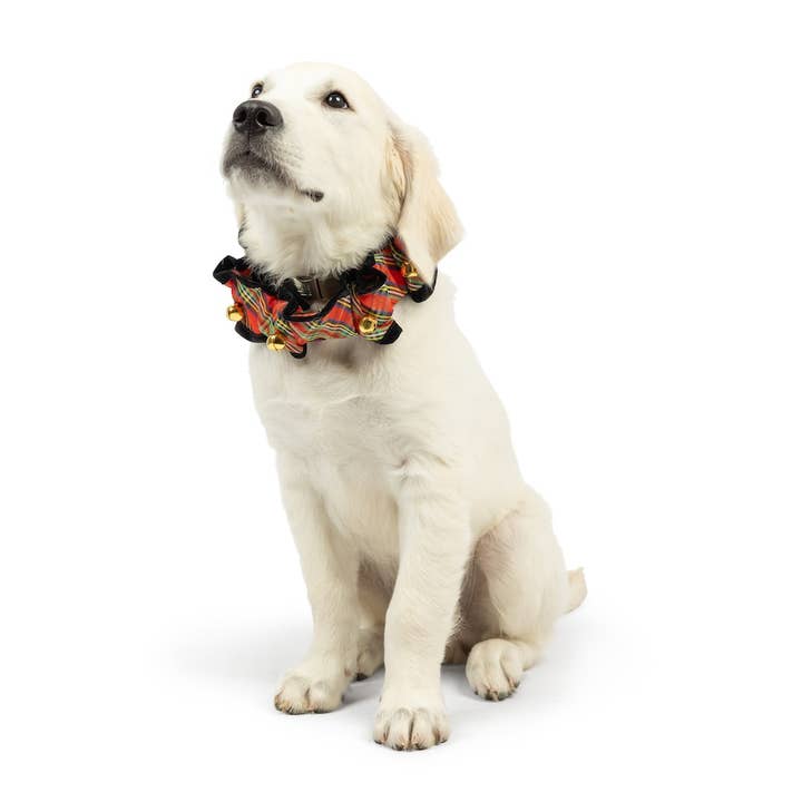 Huxley & Kent - Wholesale Pet Bow Tie - Cat/Dog - Shiny Christmas Plaid Scrunchie6