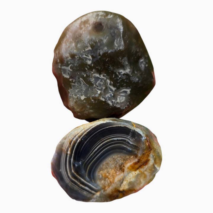 Botswana Agate Duo Lapidary Cutting Rough Chunks for wholesale by Lapidary Central