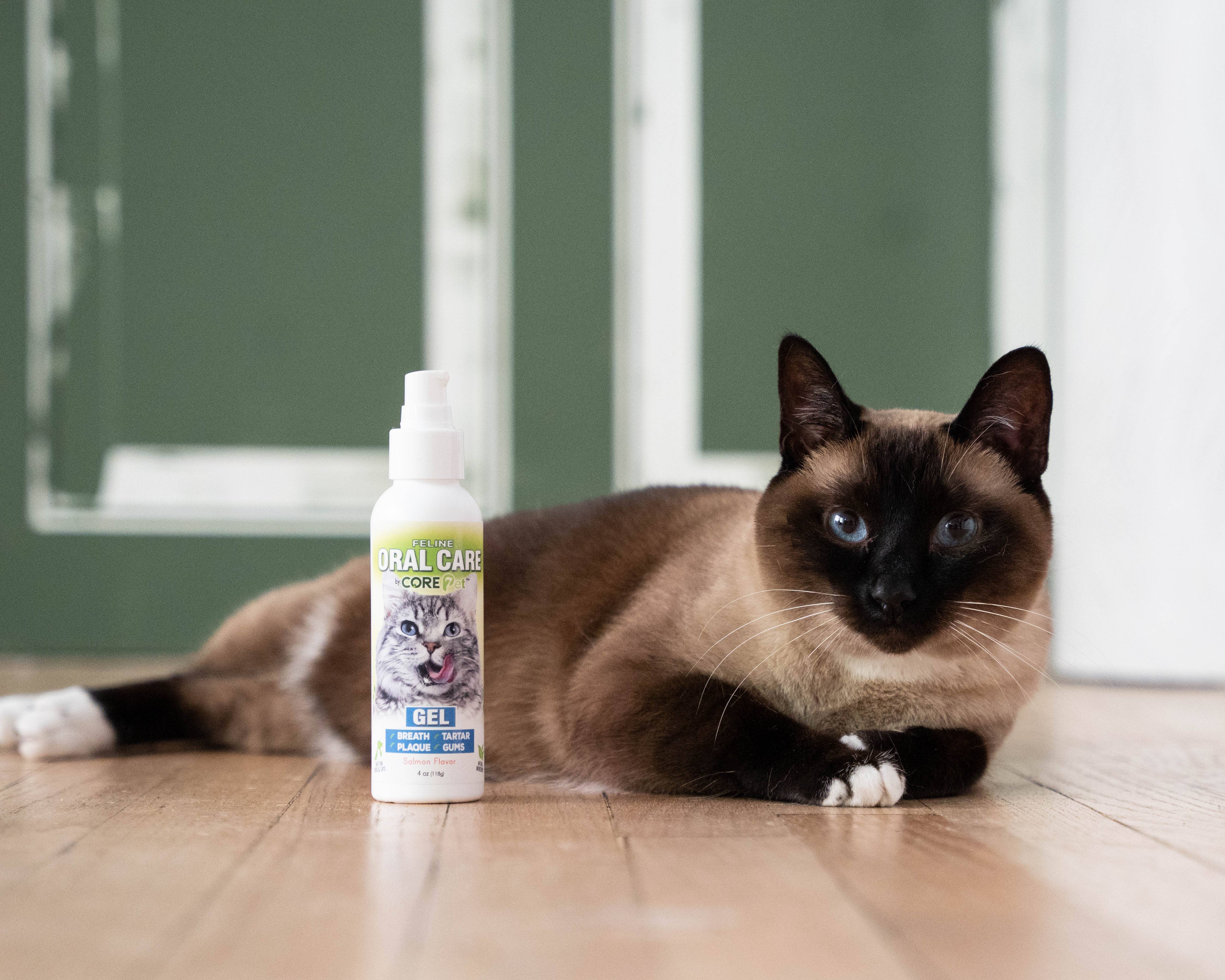 ADORE Pet – wholesale Pet supplement – Cat – 4 oz Complete Oral Care Feline Gel - Salmon1