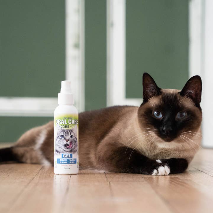 ADORE Pet – wholesale Pet supplement – Cat – 4 oz Complete Oral Care Feline Gel - Salmon1