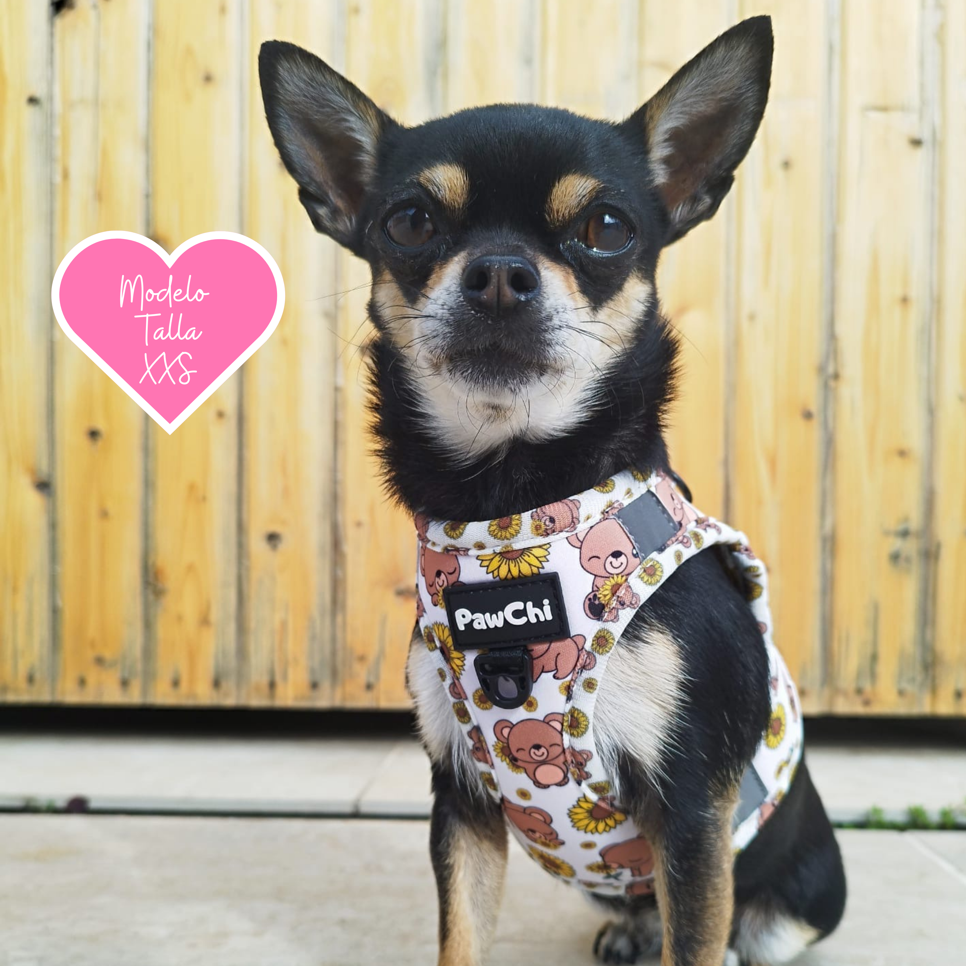 PawChi - Wholesale Pet Harness - Dog - SUNNY BEAR BODY HARNESS3