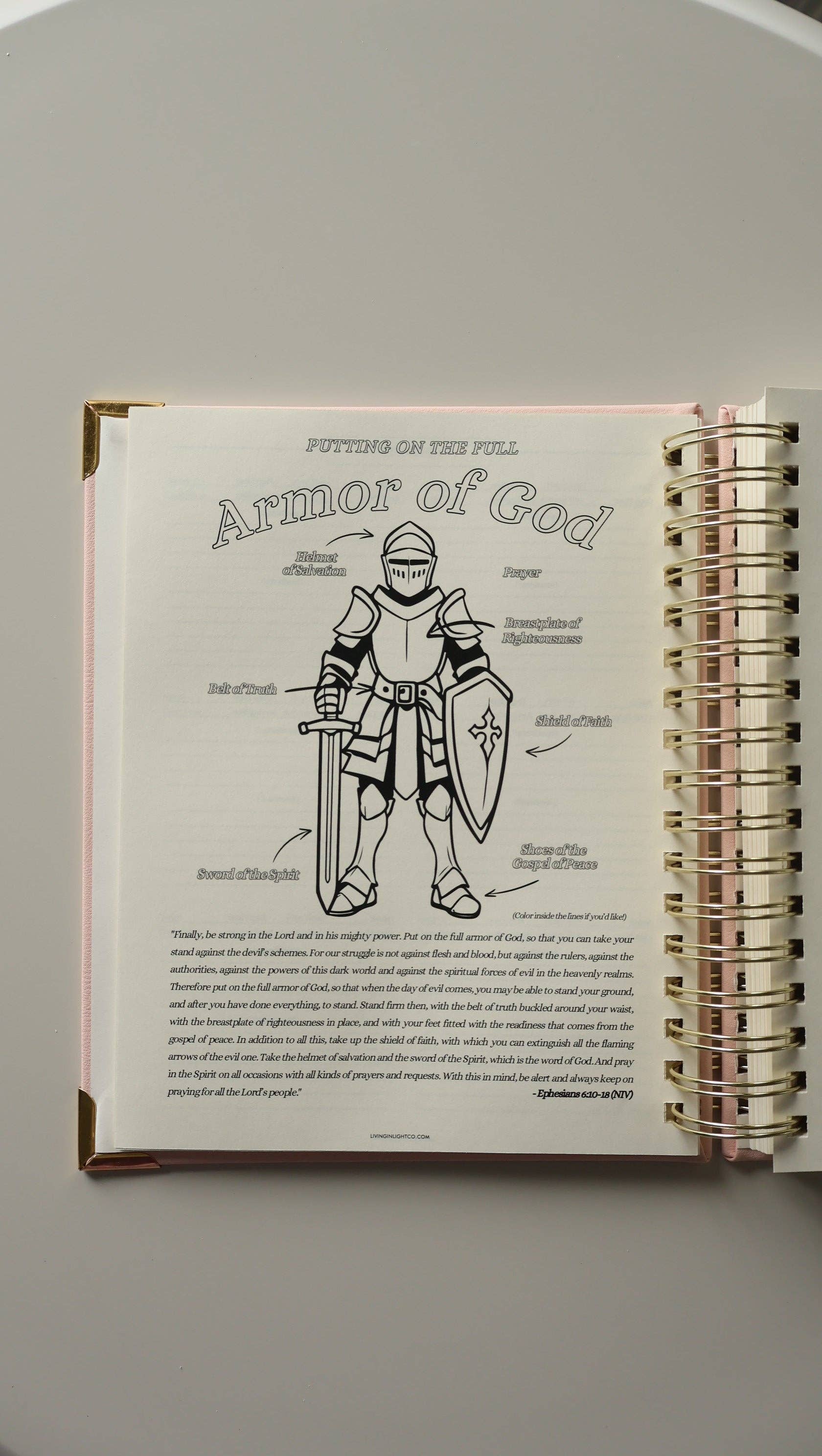 Living In Light - Venta al por mayor Agendas - Planificador Espiral de Cuero Premium - Planificador Cristiano Moderno Sin Fechar con Estudio Bíblico, Establecimiento de Metas, Solicitudes de Oración, Rastreador de Presupuesto Financiero y Más | Cuero Menta y Rosa Rubor con Espiral Dorada13