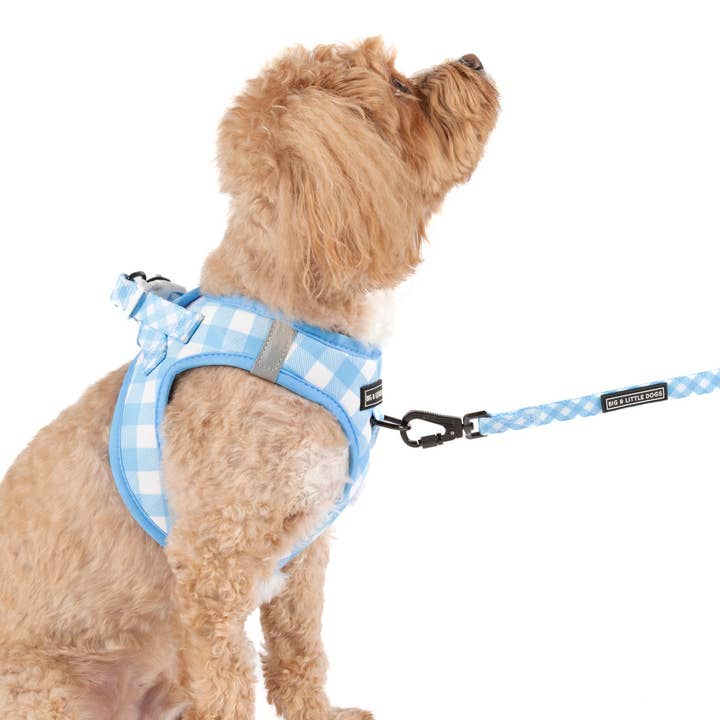 Big and Little Dogs - Wholesale Pet harness – Dog - STEP-IN DOG HARNESS: Blueberry Gingham4