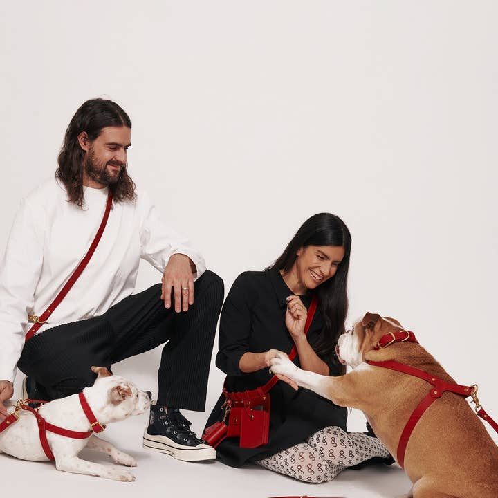 Muso & Co – Großhandel Haustiergeschirr – Hund – Klassisches Geschirr aus pflanzlich gegerbtem Leder53