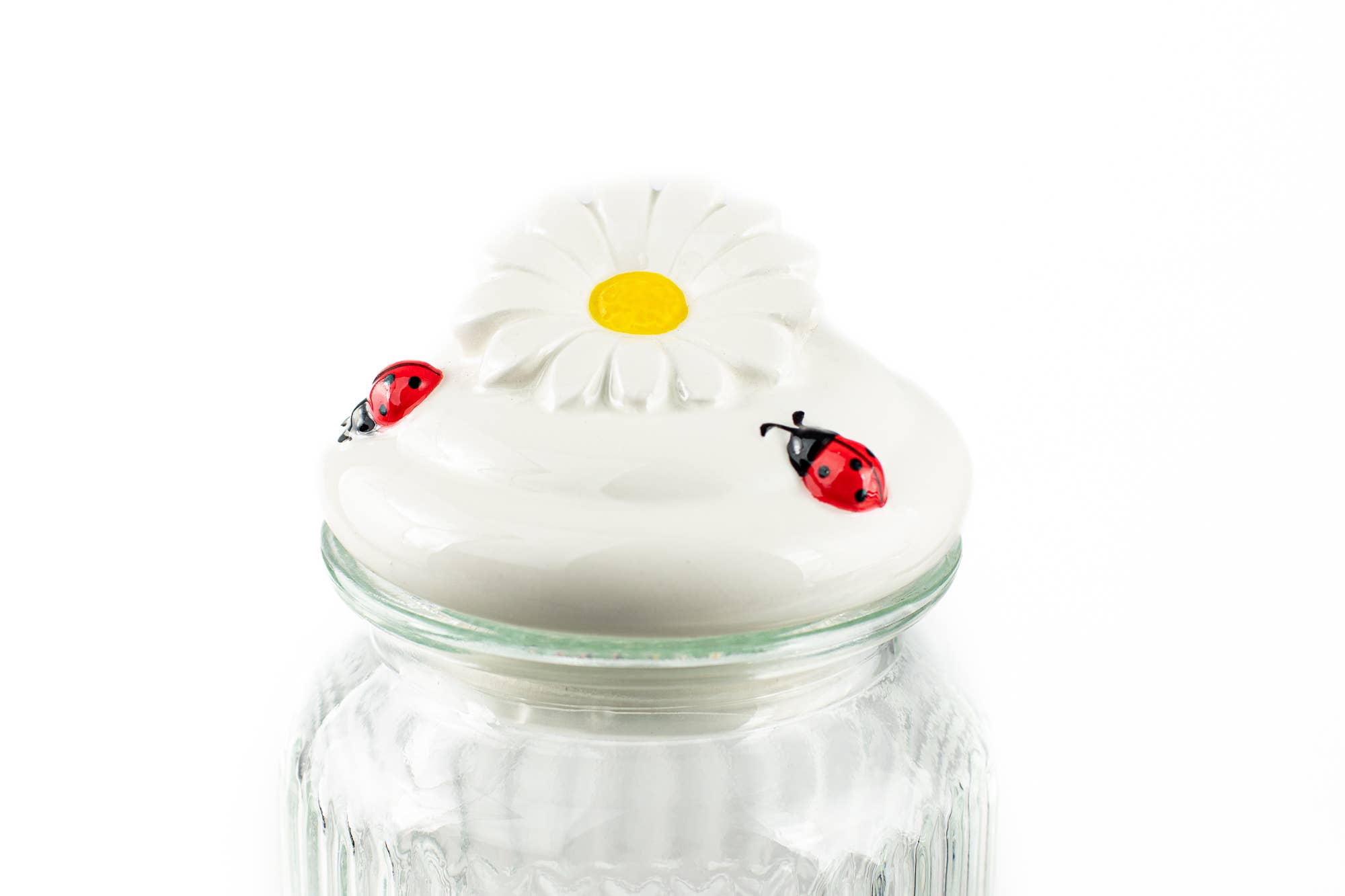10 Strawberry Street - Wholesale Canister - Daisy Top Glass Canister 491