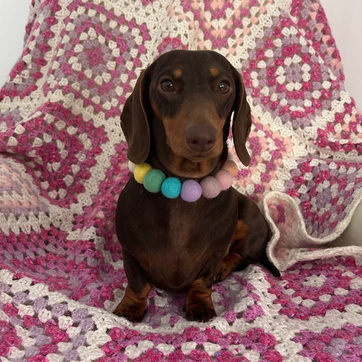 Spring Pink Flower - Personalised Pom Pom Dog Collar for wholesale by Puppies & Pom Poms