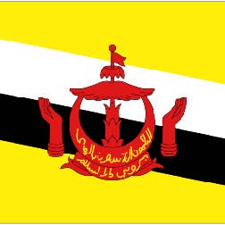 Brunei 5' x 3' for wholesale by Worldwide Flags Ltd