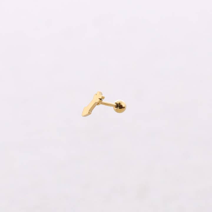 Steel Piercing Earring for wholesale by Sonata