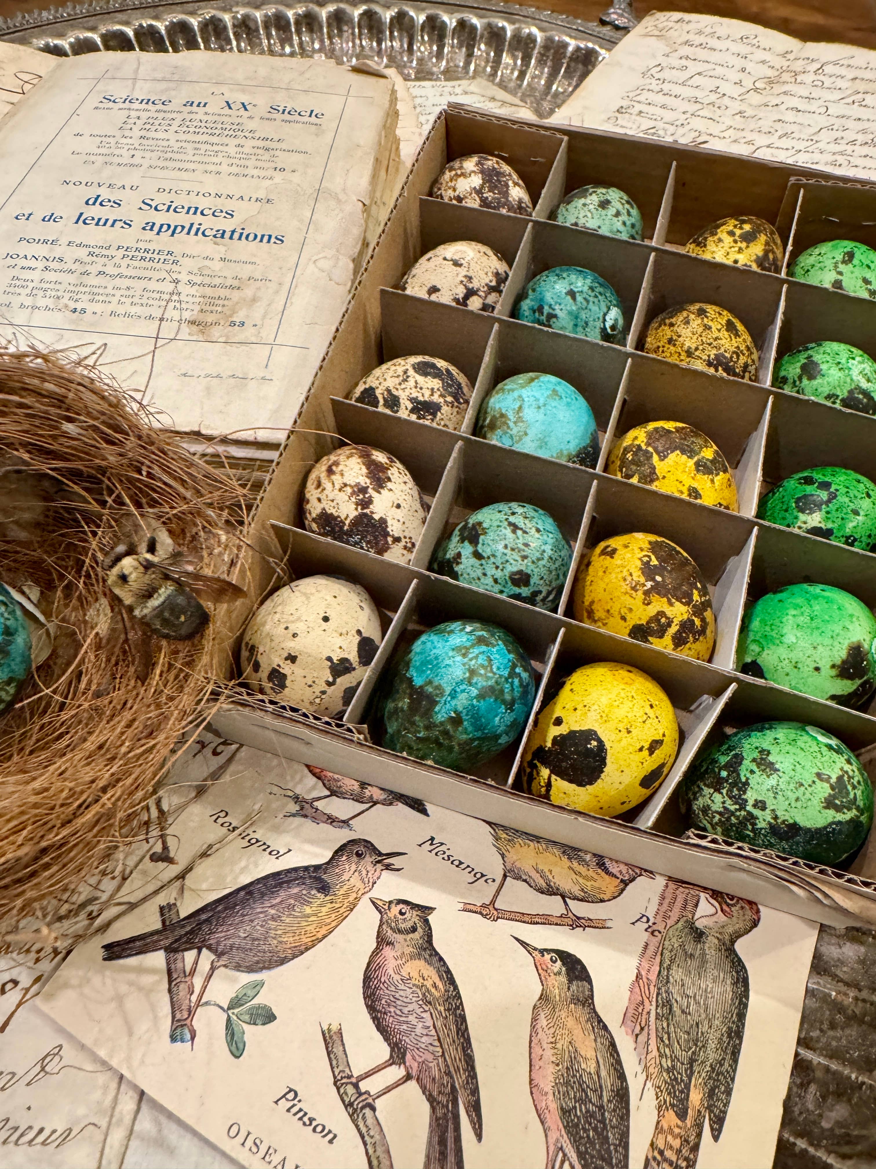 Monahan Papers - Vendita all'ingrosso Decorazioni da tavolo - Set di 20 uova di quaglia decorative colorate3