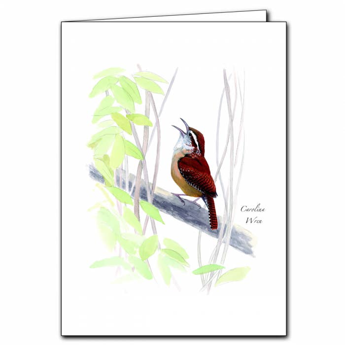 Earth Sky + Water - Wholesale Everyday Greeting Card - Sibley's Wren