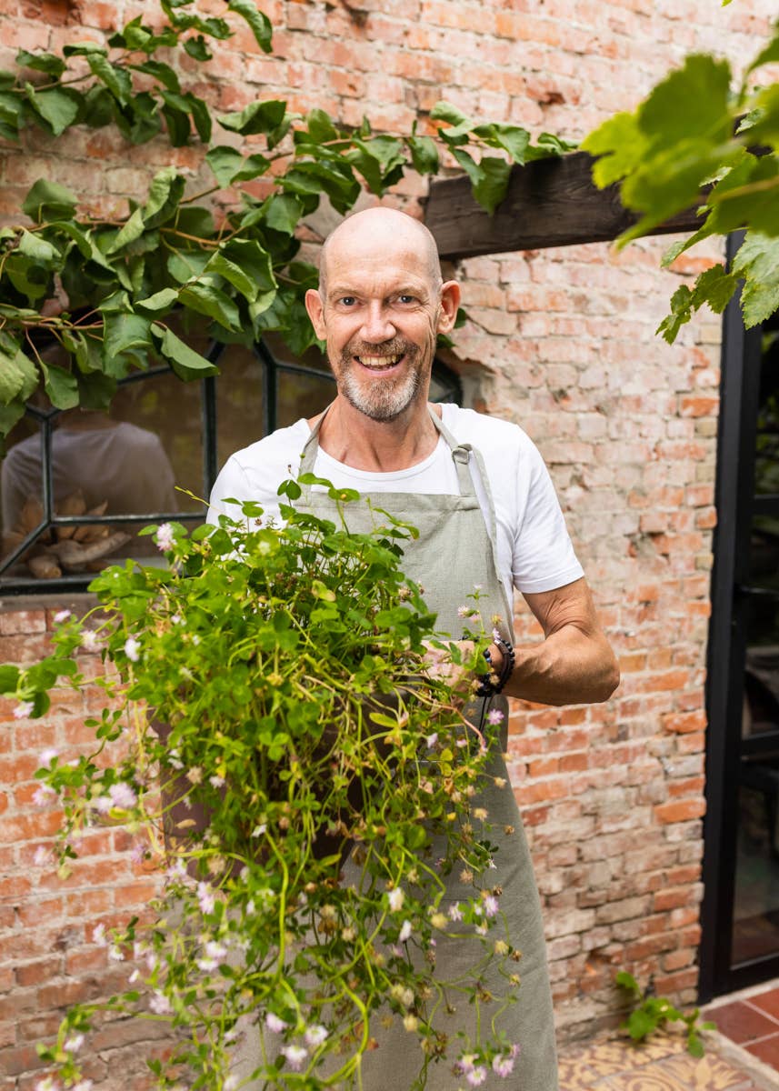 Blossombs - Vendita all'ingrosso Semi di piante - Thank You For Letting Me Grow - Scatola regalo biologica3