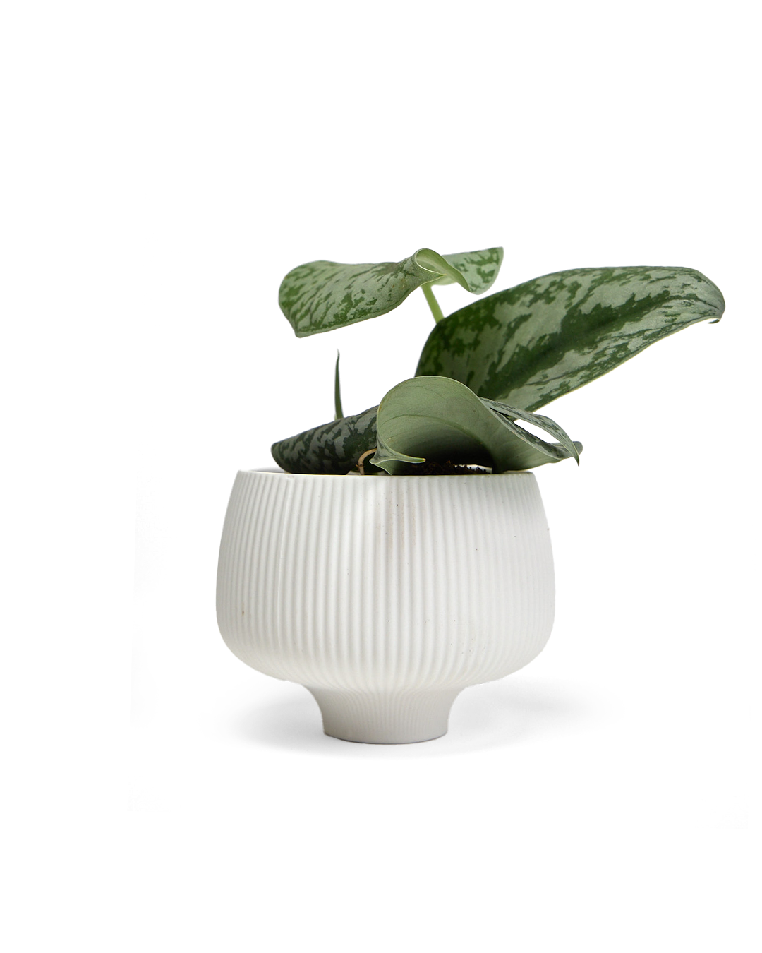 ★専用★＊Sylvia ＊Casserole・* QuiltMate Sewing Machine Cabinet Model 2600 | Sylvia Sewing