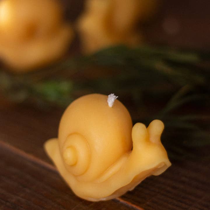 The Ramblin' Bee - Wholesale Novelty Candle - Snail Beeswax Candle