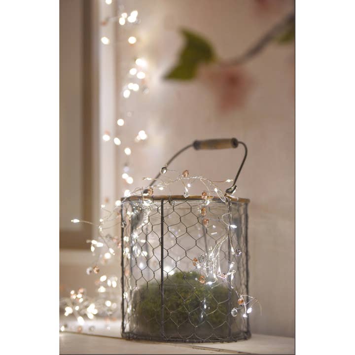 Lumina Of London Co - Wholesale String Lights - Coco Cluster Lights - Chic & Stylish!