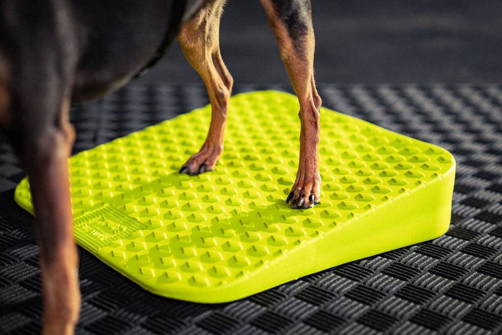 FitPAWS - Wholesale Pet Toy - Dog - FitPaws Balance Ramp4
