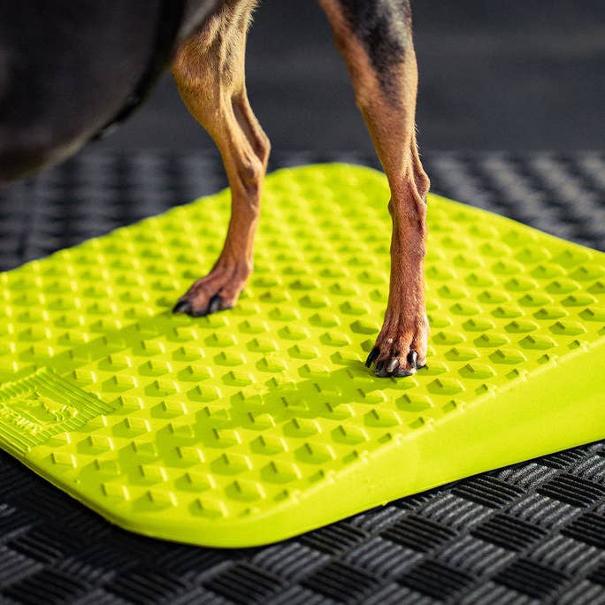 FitPAWS - Wholesale Pet Toy - Dog - FitPaws Balance Ramp4