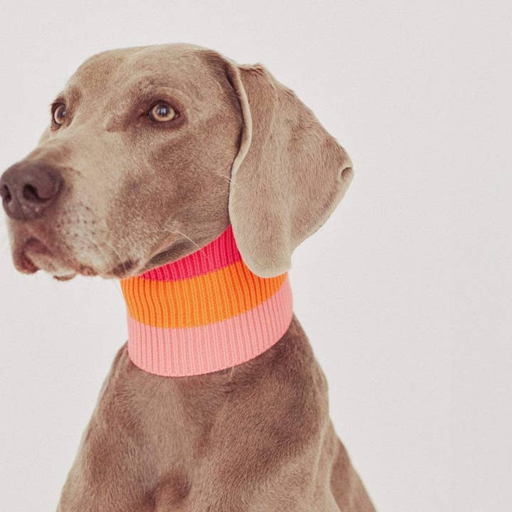 Sonnige Mandarine THE GLOW LOOP 2.0 (Sunny Tangerine) for wholesale on Faire3