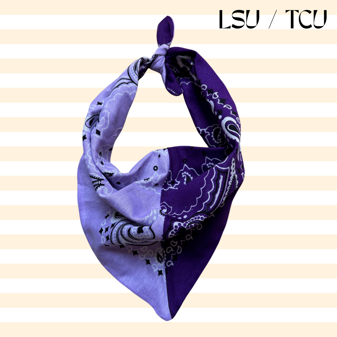 Sugar Cilantro - Wholesale Bandana - Women's - Handmade Custom Colorblocked Gameday Bandana10