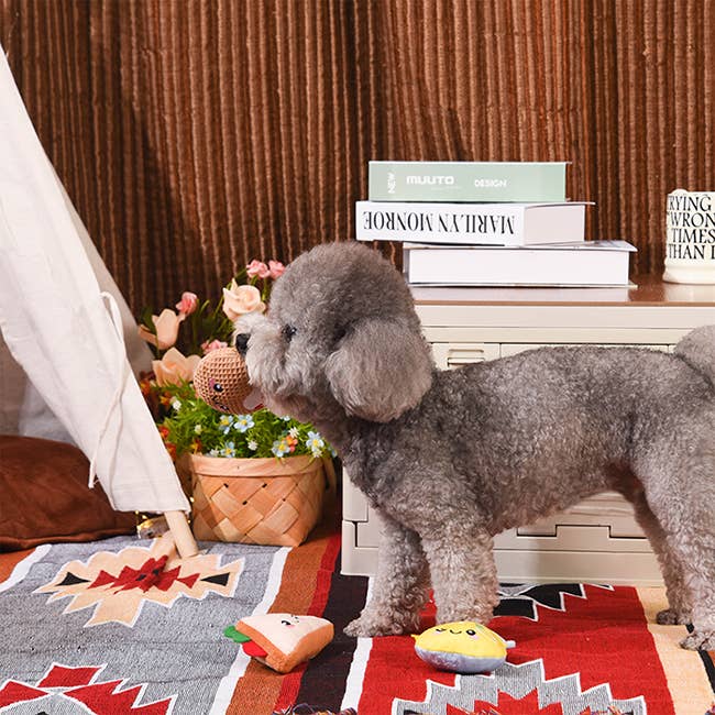 Hugsmart Products Inc – wholesale Pet plush toy – Dog – HugSmart Pet - Picnic Time | Yappy Yum - Dog Plush Toy