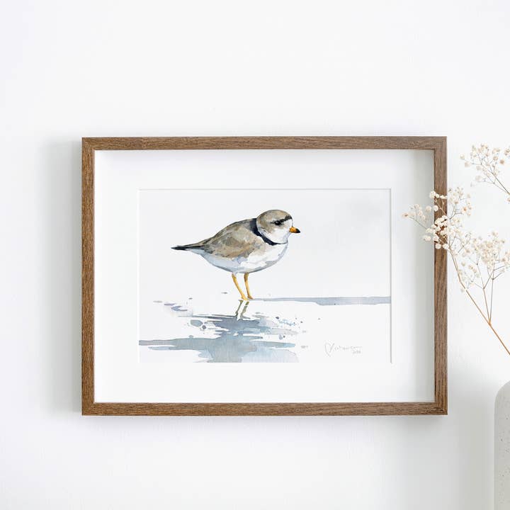 Piping Plover Watercolor Print, Sandpiper Beach Painting and other Purchase Wholesale sandpiper. Free Returns & Net 60 Terms on Faire trending on Faire.