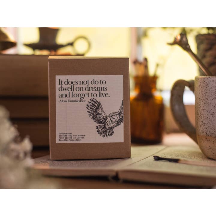 Candles from Oxford - Wholesale Jar/Filled Candle - Albus Dumbledore Candle Gift - Wizard Owl Potter Book