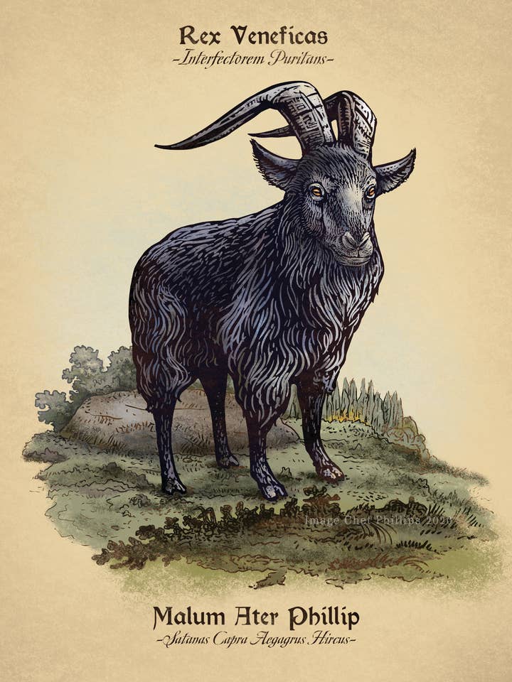Black Phillip Study 8" x 10" print for wholesale by ChetArt